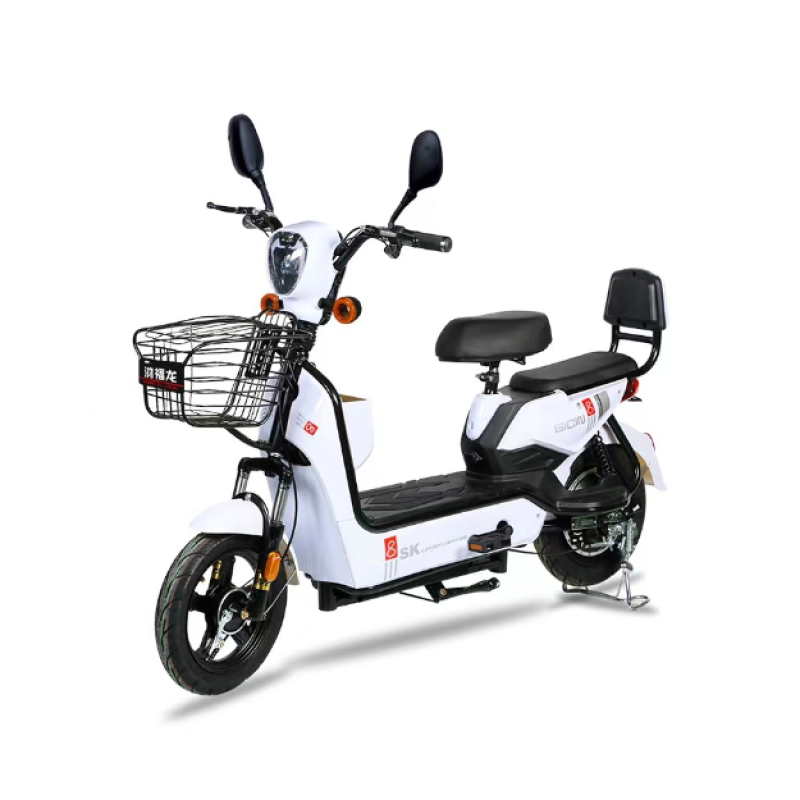 Electric City Bike Manufacturer - 48V Electronic Brake System