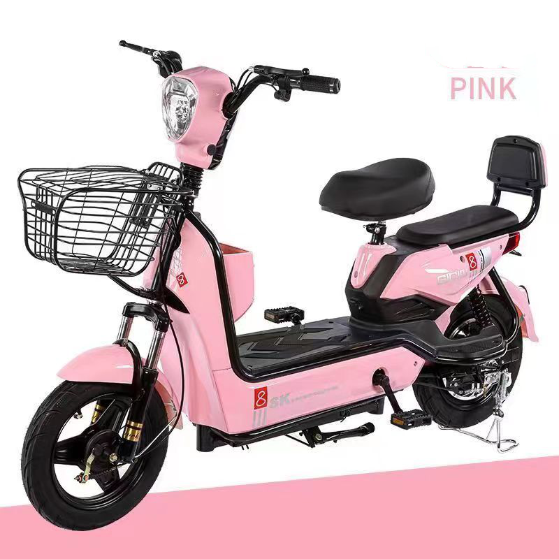 Electric Bike Manufacturer - 350W 2 Seats Big Basket