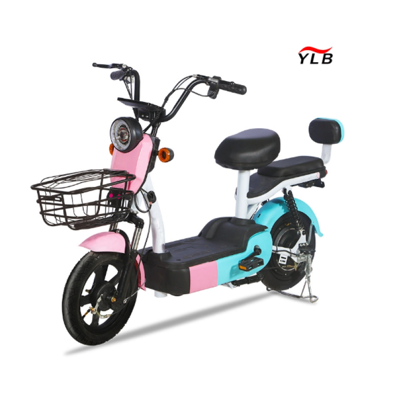 Electric City Bike Manufacturer - 48V Hub Motor Steel Frame