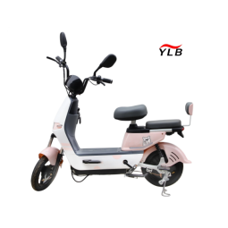 Electric Folding Bike Factory - Two Wheel Fat Tire 350W