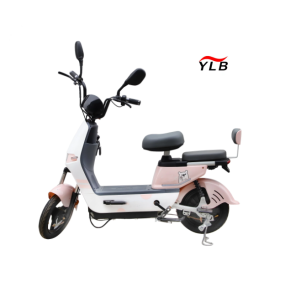 Electric Folding Bike Factory - Two Wheel Fat Tire 350W