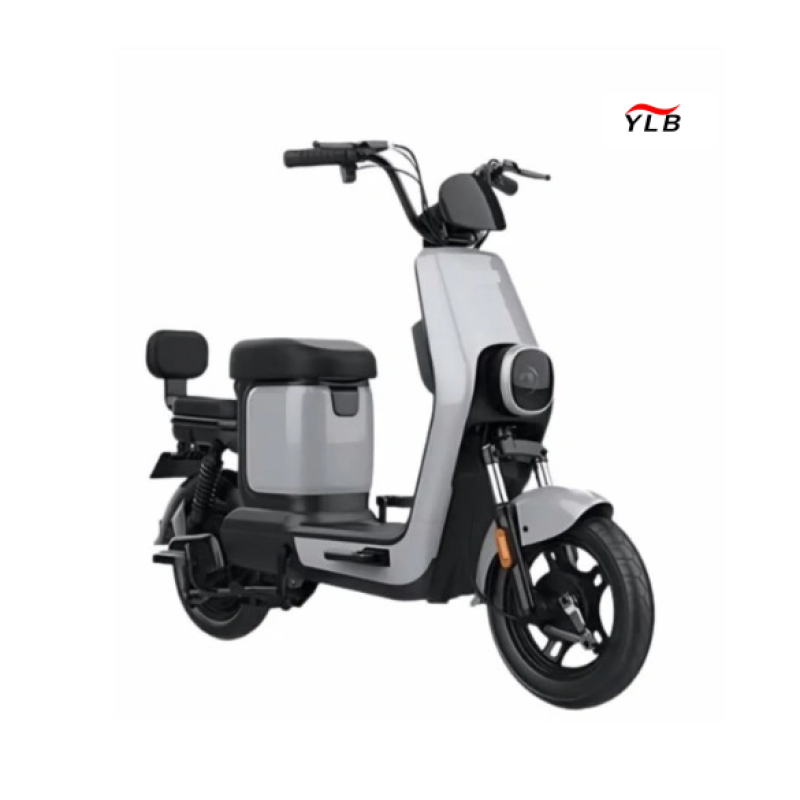 Electric City Bike Factory - 14 Inch 500W Removable Battery