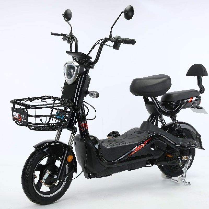 Electric Tricycle Factory - Closed Cargo Shed Load