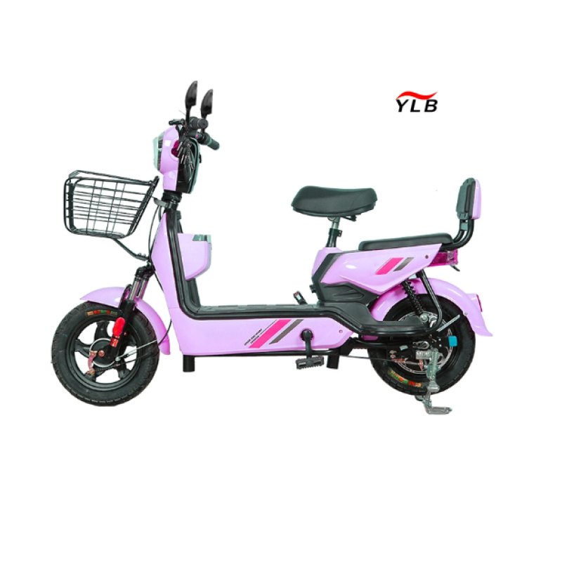 Electric Bike Factory - 350W Folding Two-Wheel