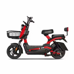 Electric Bicycle Manufacturer - 48V12AH 350W Popular