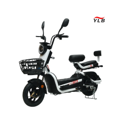 Electric Bike Manufacturer - 14 Inch 500W Brushless Motor