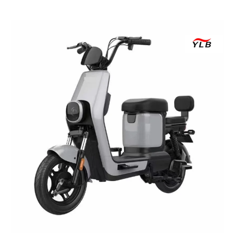 Electric Folding Bike Factory - 350W 48V Single Speed