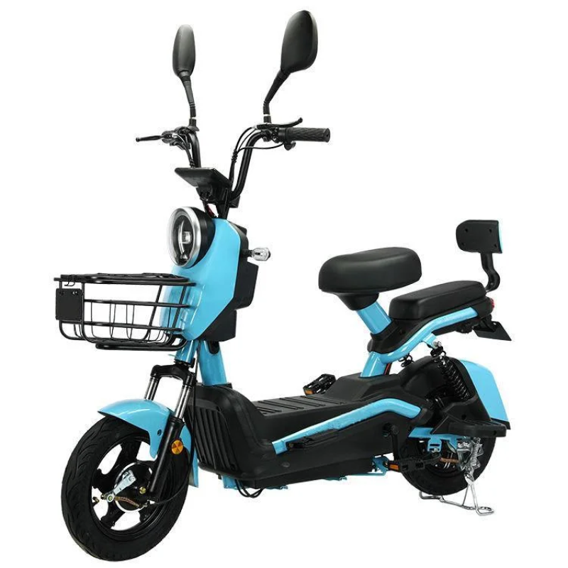 Electric Bicycle Manufacturer - 48V12AH 350W Popular