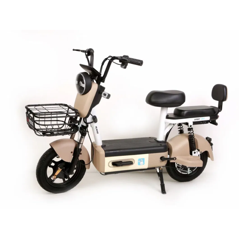 Electric Bicycle Manufacturer - New Design Motor