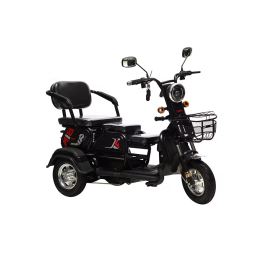 Adult Electric Car Manufacturer - Lightweight City Mobility