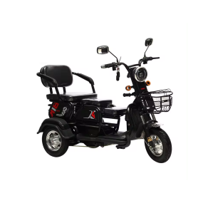 Adult Electric Car Manufacturer - Lightweight City Mobility