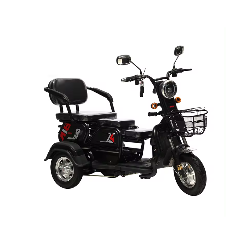 Adult Electric Car Manufacturer - Lightweight City Mobility