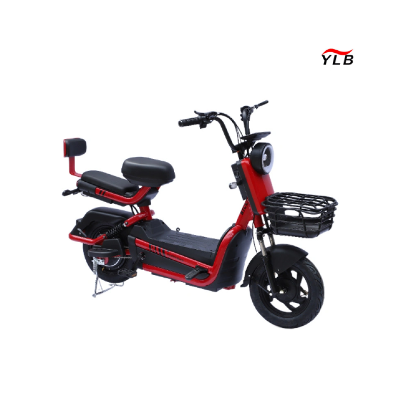 Electric Folding Bike Factory - 1000W Fat Tire Adult