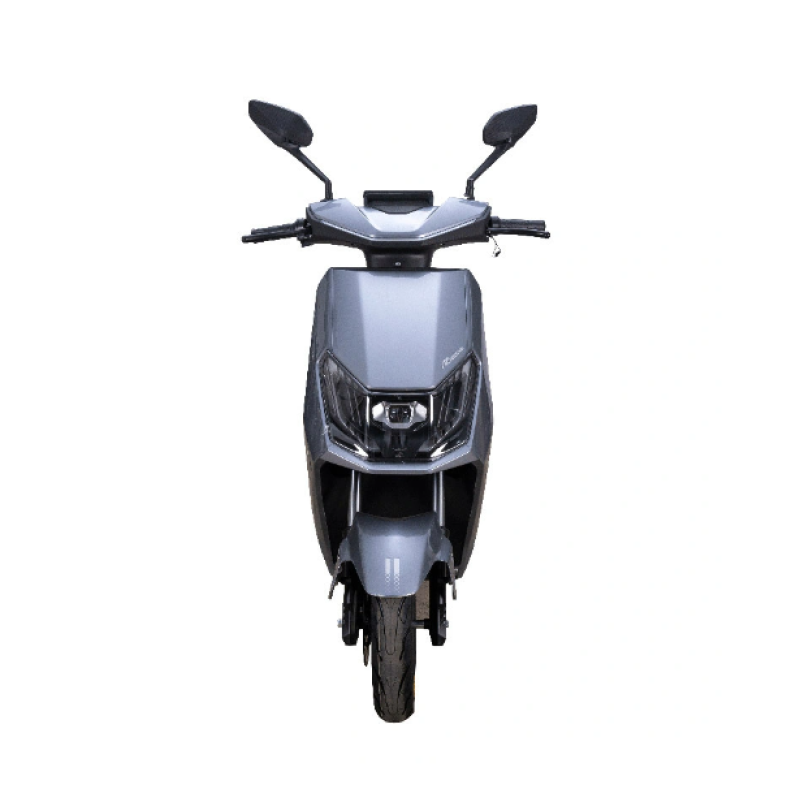 Electric Folding Bike Manufacturer - 350W 48V Cheap