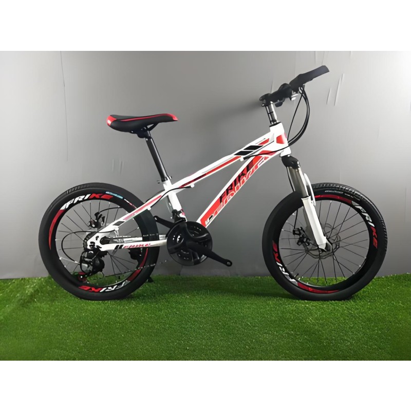 Electric Mountain Bike Manufacturer - 26 Inch Fat Tyre