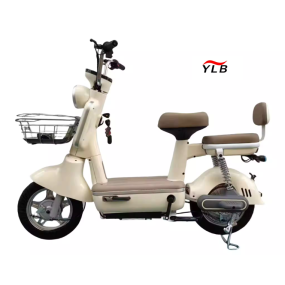 Electric Bike Manufacturer - Smart Hub Motor Integrated Battery