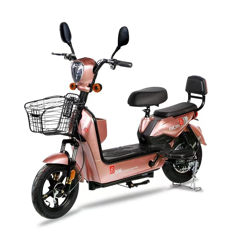 Electric Bicycle Manufacturer - Two Wheeled Adult Leisure