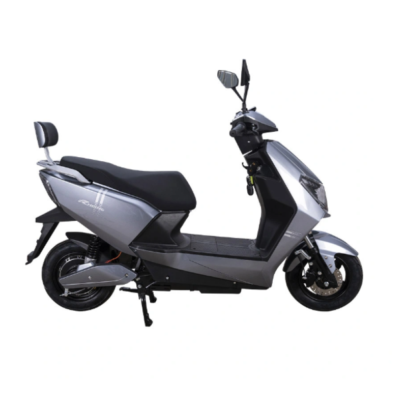 Electric Folding Bike Manufacturer - 350W 48V Cheap