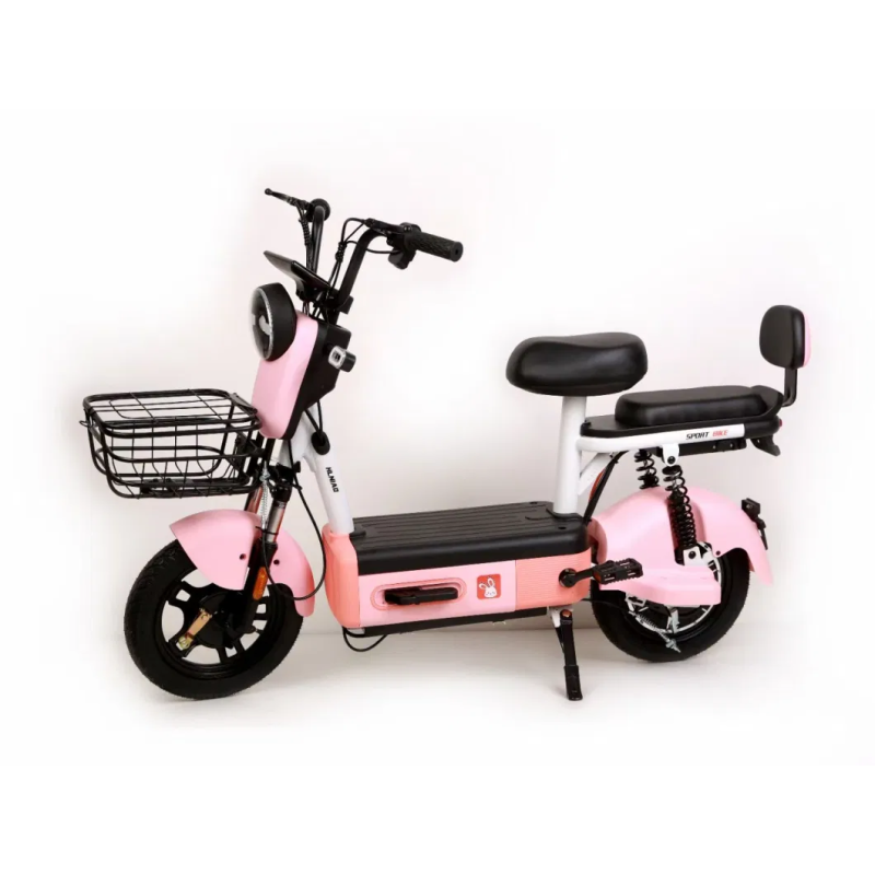 Electric Bicycle Manufacturer - New Design Motor