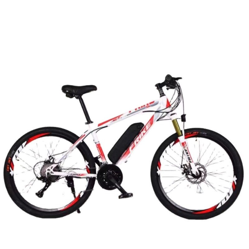 Electric Mountain Bike Factory - Folding Double Shock