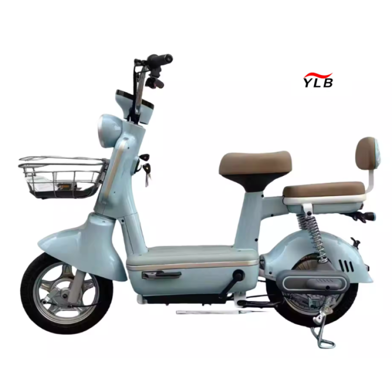 Electric Bike Manufacturer - Smart Hub Motor Integrated Battery