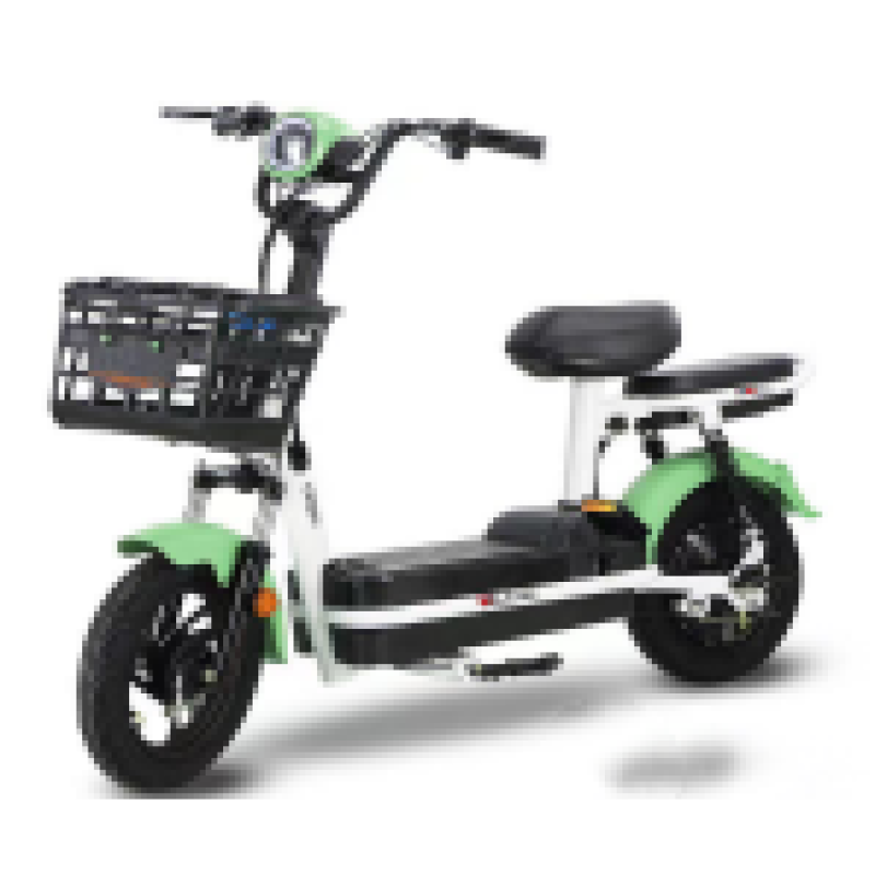 Electric Bike Manufacturer - 20 Inch Four Speed