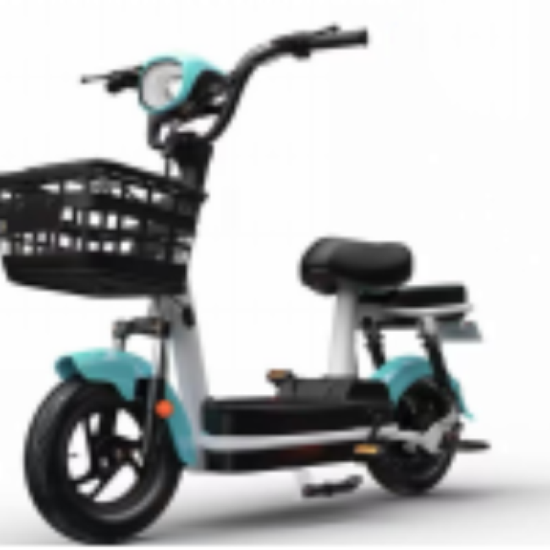 Electric Bike Manufacturer - 20 Inch Four Speed
