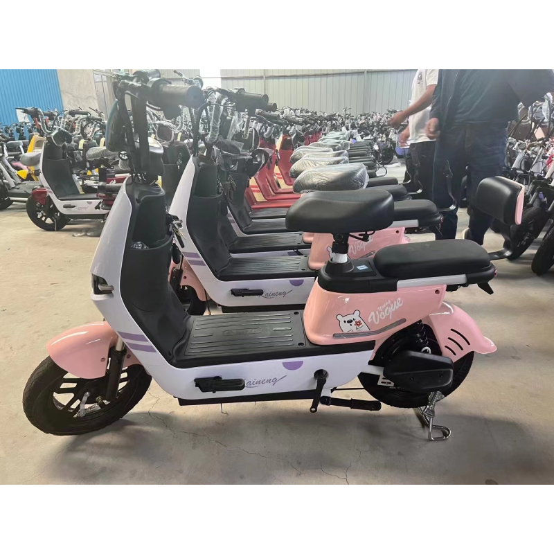 Electric City Bike Factory - Fast Long-Lasting Teenagers