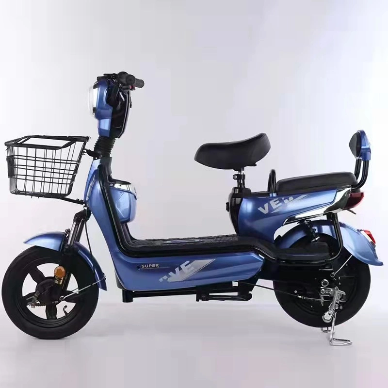 Electric Bicycle Manufacturer - Two Person Self-propelled