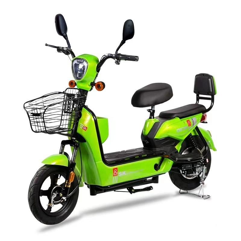 Electric Bicycle Manufacturer - Two Wheeled Adult Leisure