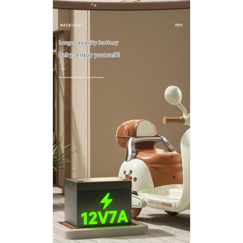 Electric Motorcycle Factory - Three-wheeler Remote Control Seat