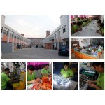 3:Xmas Sculpture Light