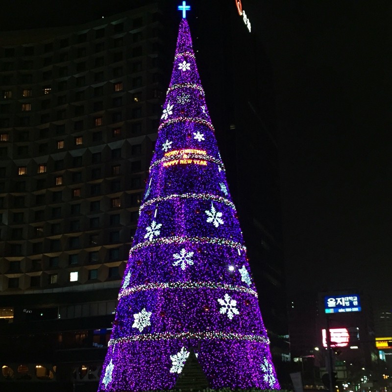 Christmas Tree Light Factory - 3D Frame Outdoor LED Holiday