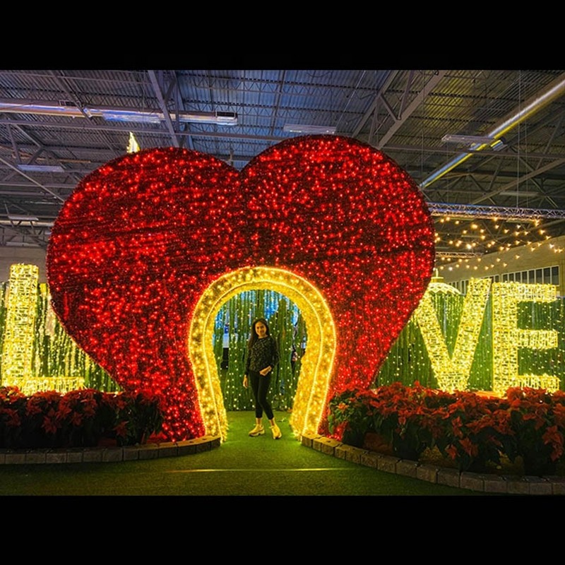 LED Tunnel Light Manufacturer - 2024 Outdoor 3d Led Heart-shaped