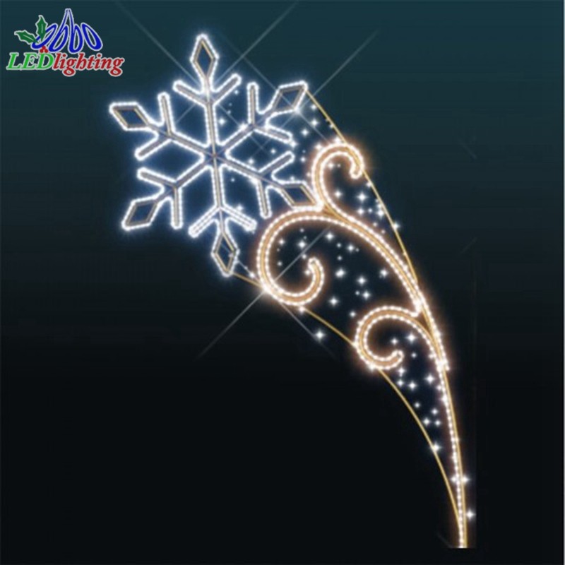 LED Pole Light Factory - Innovative Customizable 2D Commercial