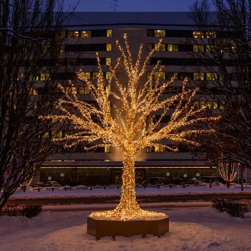 3D Christmas Tree Manufacturer - LED Motif Light Outdoor Waterproof
