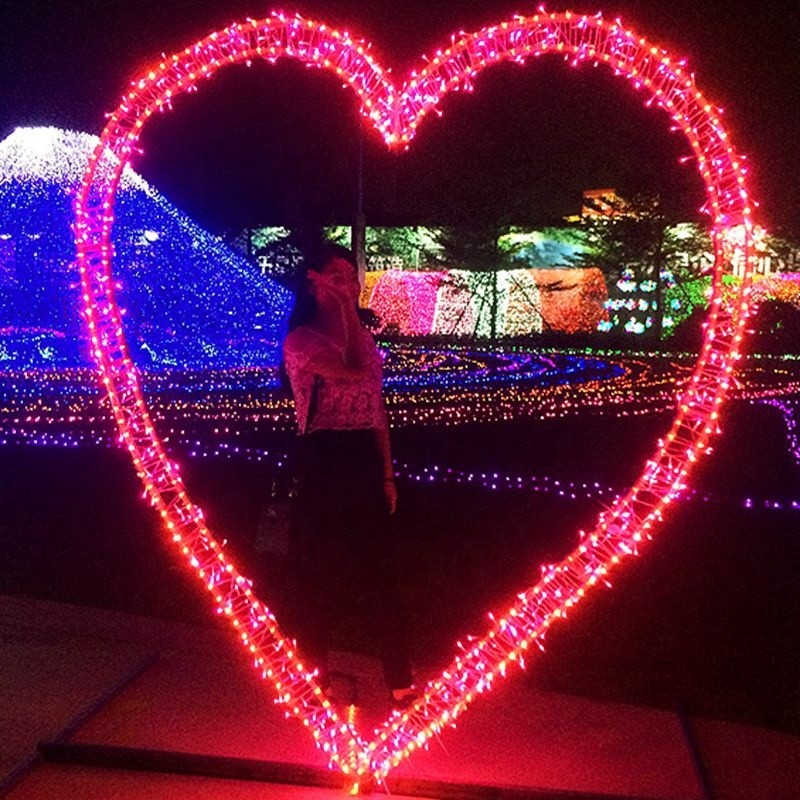 Christmas Light Manufacturer - 3D LED Heart Arch Wonderland Display
