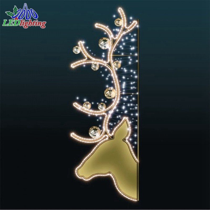 LED Pole Light Factory - Innovative Customizable 2D Commercial