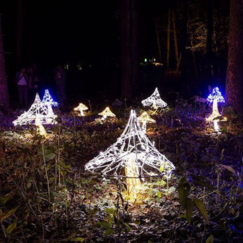 Mushroom Light Factory - Wholesale Best Price IP65 Waterproof