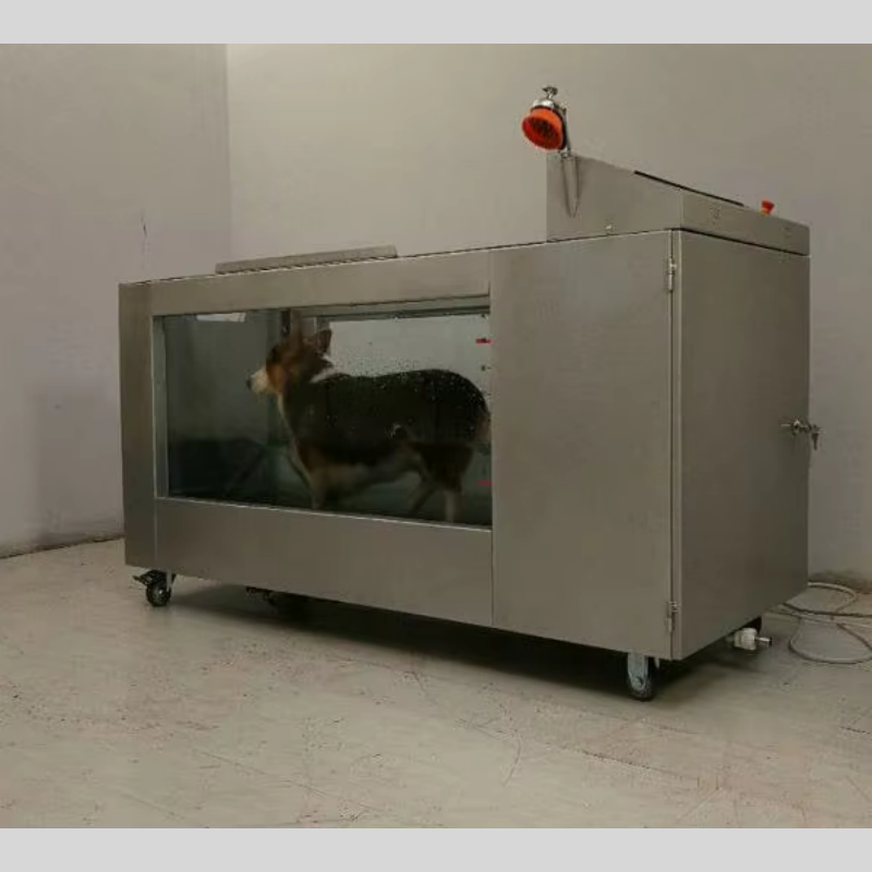 Dog Treadmill Factory - Electric Underwater Fitness