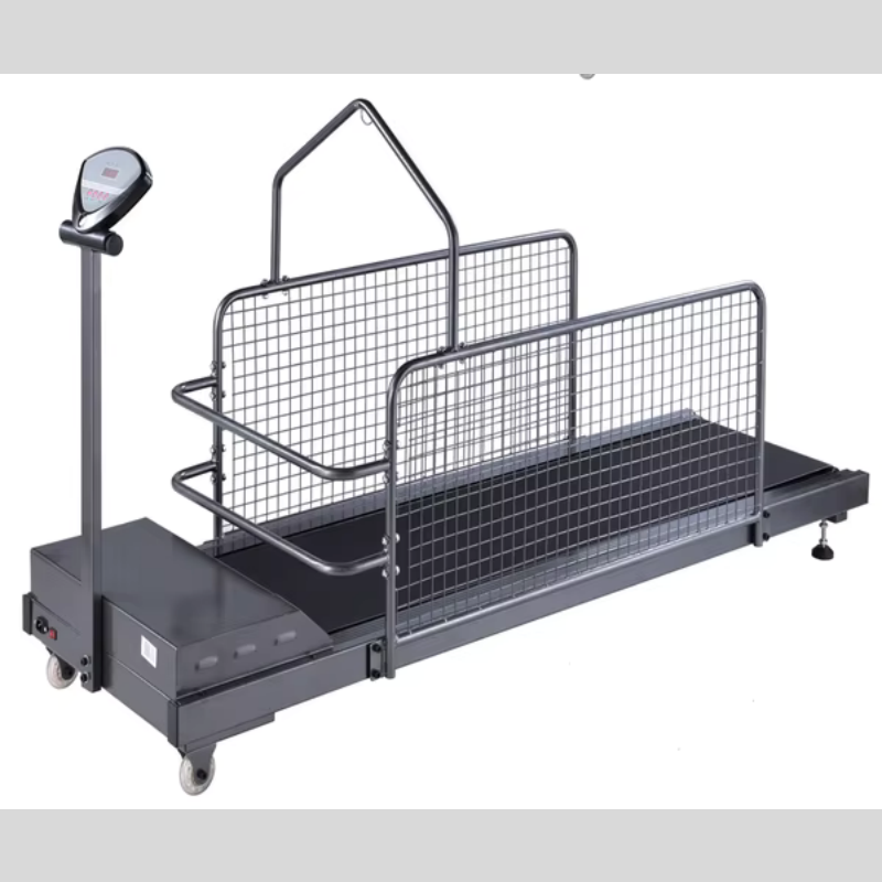 Dog Treadmill Factory - 5HP Electric Steel Waterproof