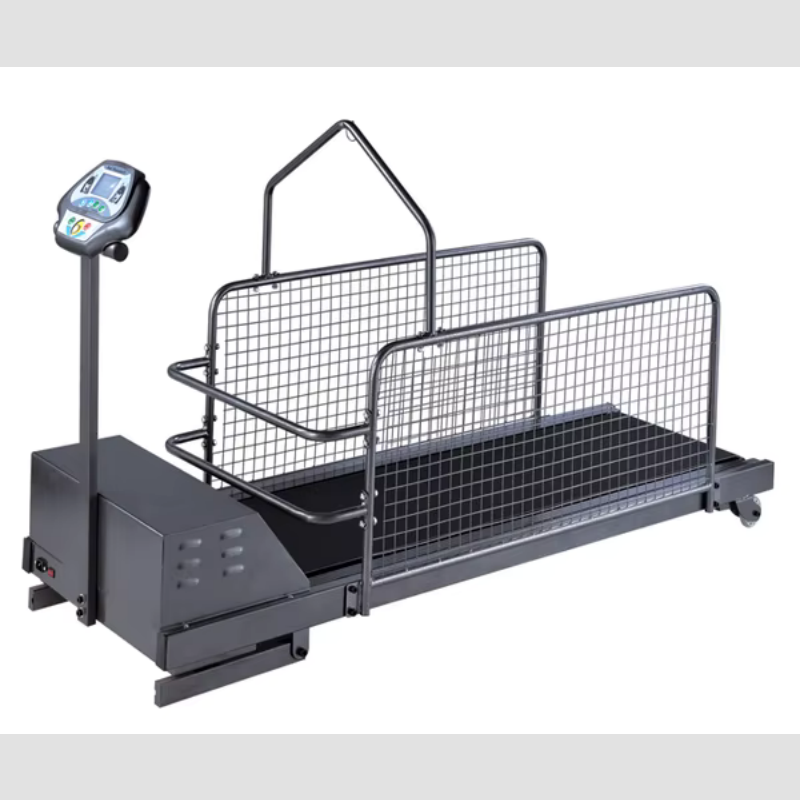 Dog Treadmill Manufacturer - 5HP Electric Two Way Waterproof