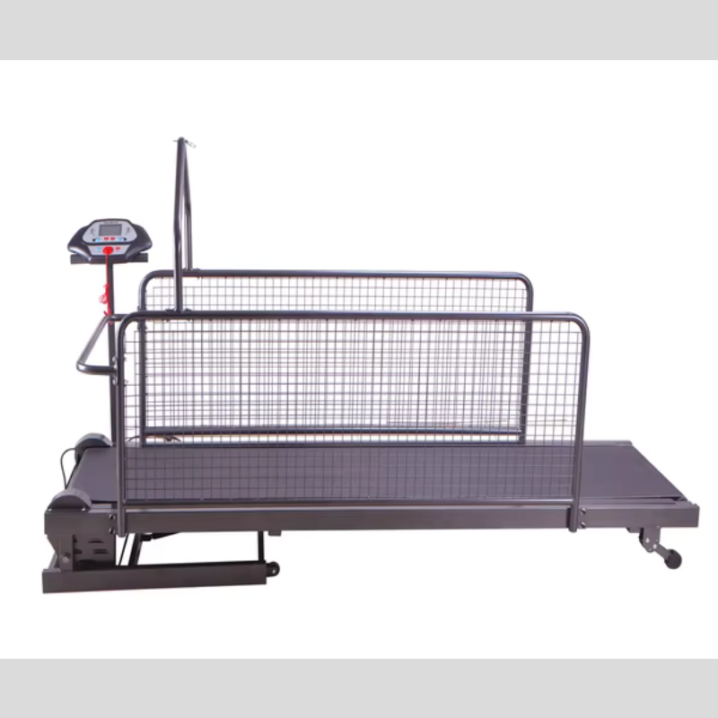 Dog Treadmill Factory - 3HP Large Steel Walking Machine