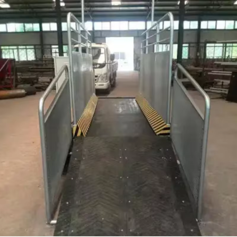 Dog Treadmill Manufacturer - Large Steel Running Machine