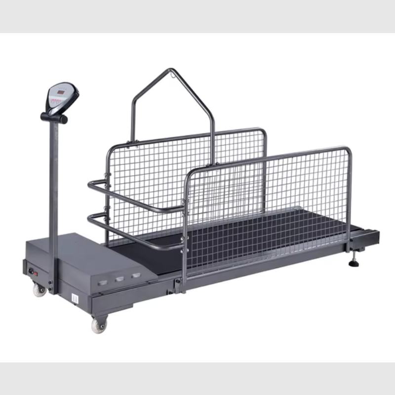 Dog Treadmill Manufacturer - Hydrotherapy Underwater Training