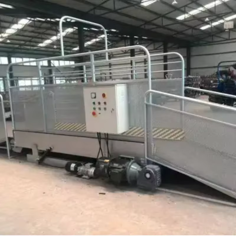 Dog Treadmill Manufacturer - Large Steel Running Machine