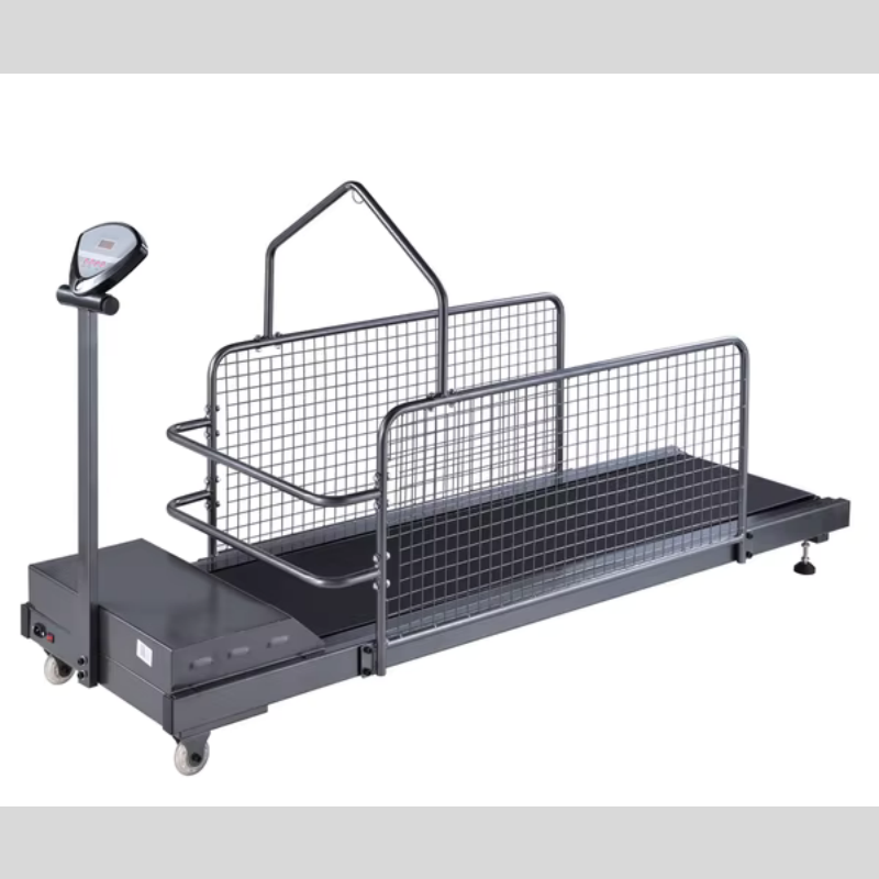 Dog Treadmill Factory - 5HP Electric Steel Waterproof