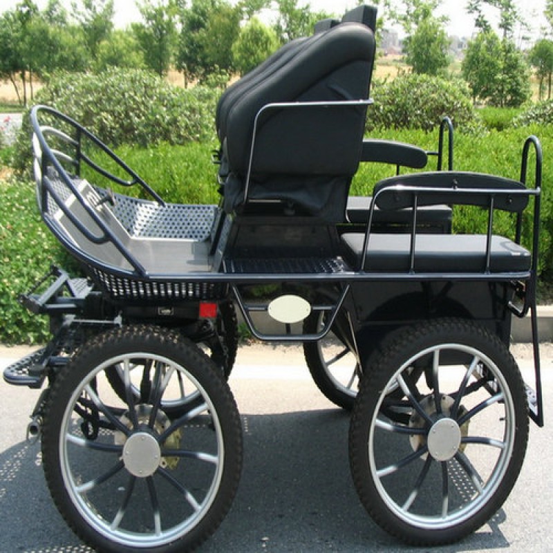 Horse Carriage Factory - Tourism Horse Drawn Set