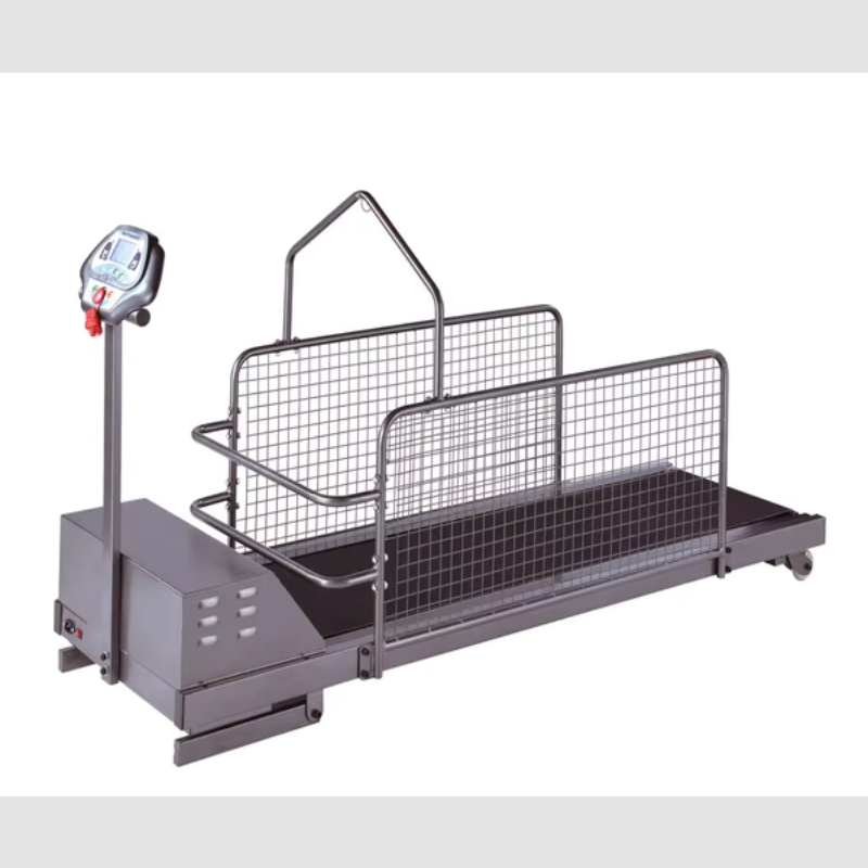 Dog Treadmill Factory - Adjustable Steel Waterproof