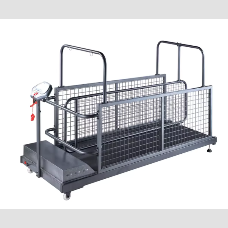 Dog Treadmill Manufacturer - 5HP Electric Two Way Waterproof